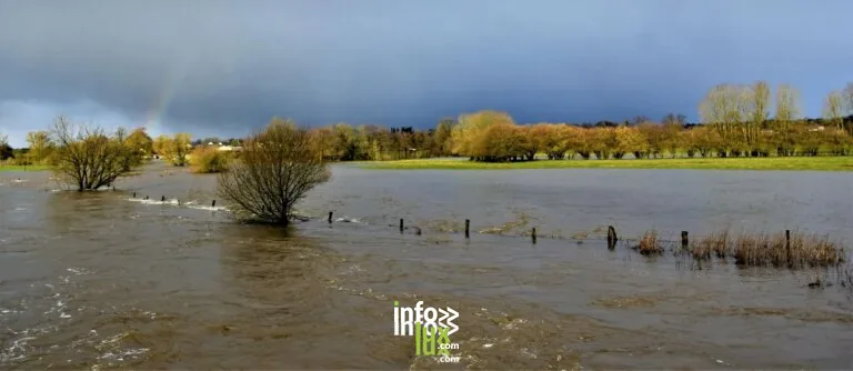 La vallée de la Rulles (Habay) : de la source en forêt d’Anlier aux méandres lorrains, l’affluent majeur de la Semois