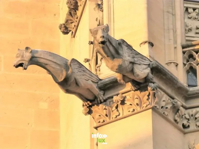Metz > Patrimoine > Sorcières et animaux maléfiques – visite famille