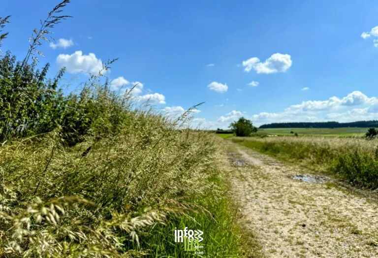 La voie Saint-Antoine et sa légende à Libramont-Chevigny