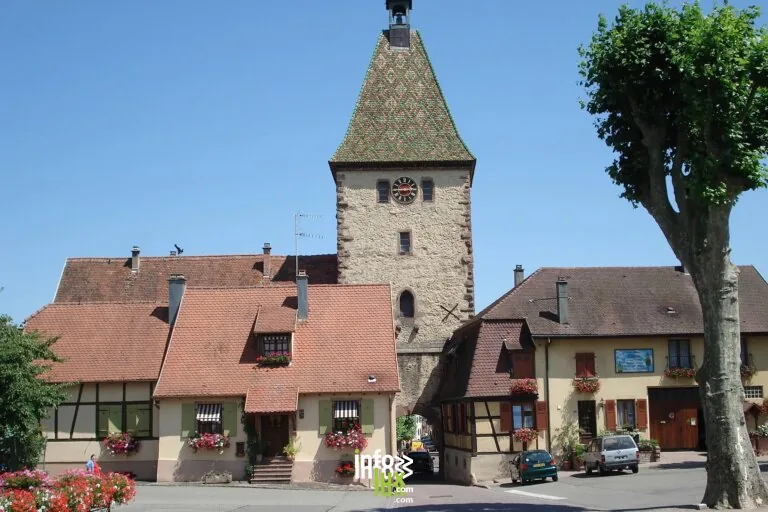 Bergheim > Festival > Festival Livres en scène – Cultiver son jardin intérieur par l’écriture