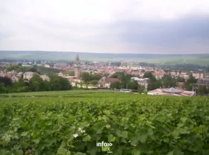 Exposition Vignes en Champagne. Innovations et encépagement, une épopée collective — Épernay Exposition Vignes en Champagne. Innovations et encépagement, une épopée collective — Épernay