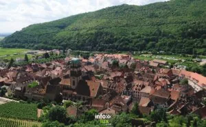 Les crododiles, sexisme ordinaire et harcèlement de rue — Kaysersberg Vignoble Les crododiles, sexisme ordinaire et harcèlement de rue — Kaysersberg Vignoble