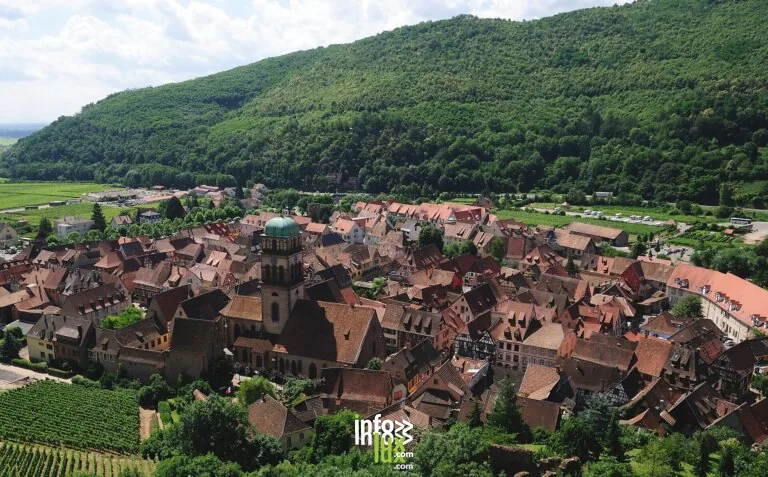 Kaysersberg Vignoble > Exposition > Les crododiles, sexisme ordinaire et harcèlement de rue