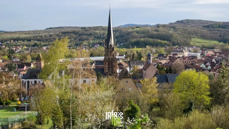 Mutzig > Fête > Restaurant éphémère – Le Felsbourg – Menu des 8 et 15 octobre