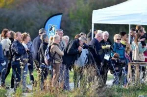Week-end de la migration 2026 sur le site de Chantecoq (Marne) — Giffaumont-Champaubert Week-end de la migration 2026 sur le site de Chantecoq (Marne) — Giffaumont-Champaubert