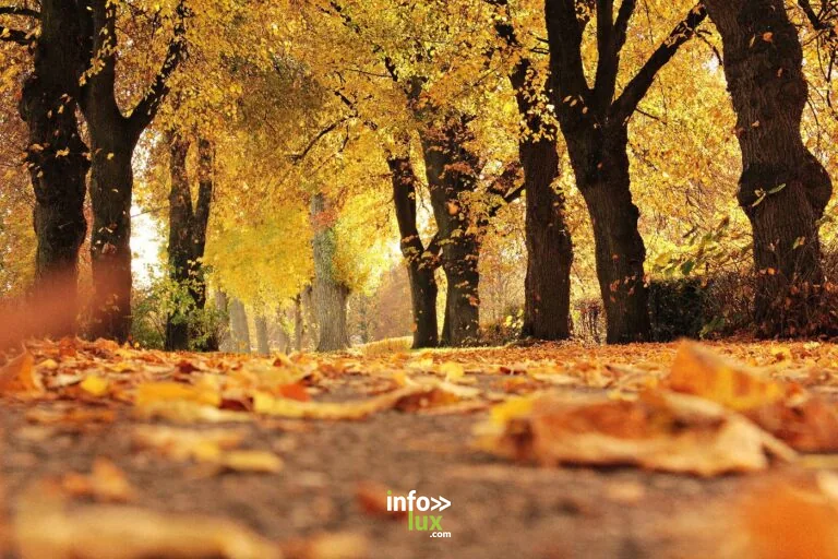 Hastière > Balade > Week-end randonnée d’automne