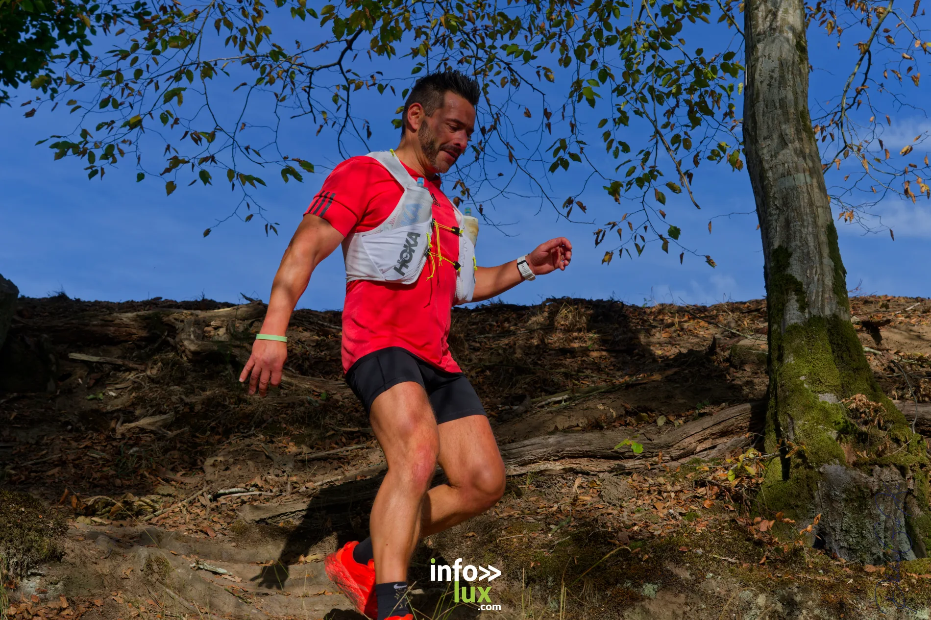 Trail de la Passerelle Himalayenne 2026 à Sainte-Cécile : coureurs sur les sentiers de la vallée de la Semois