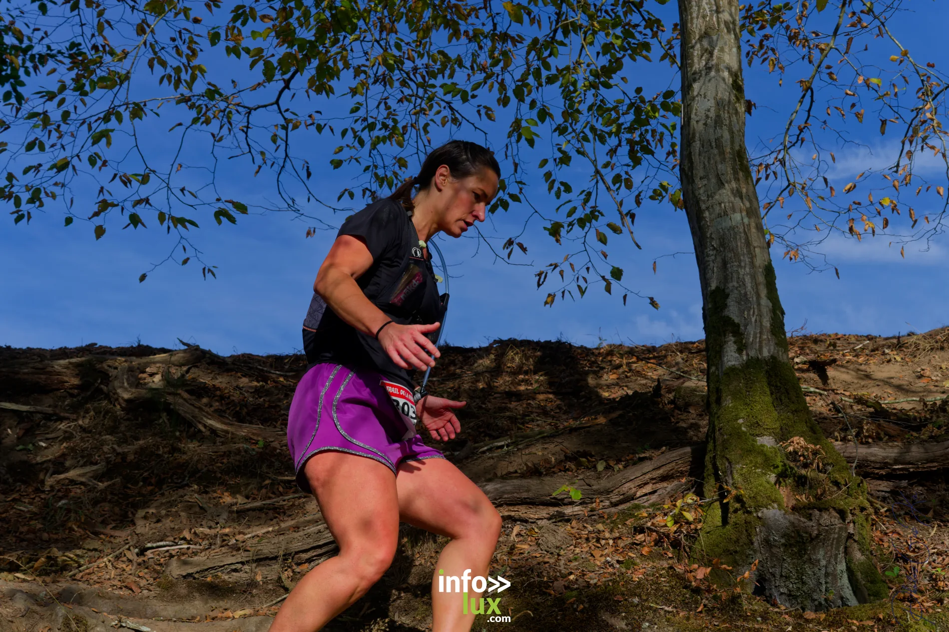 Trail de la Passerelle Himalayenne 2026 à Sainte-Cécile : coureurs sur les sentiers de la vallée de la Semois