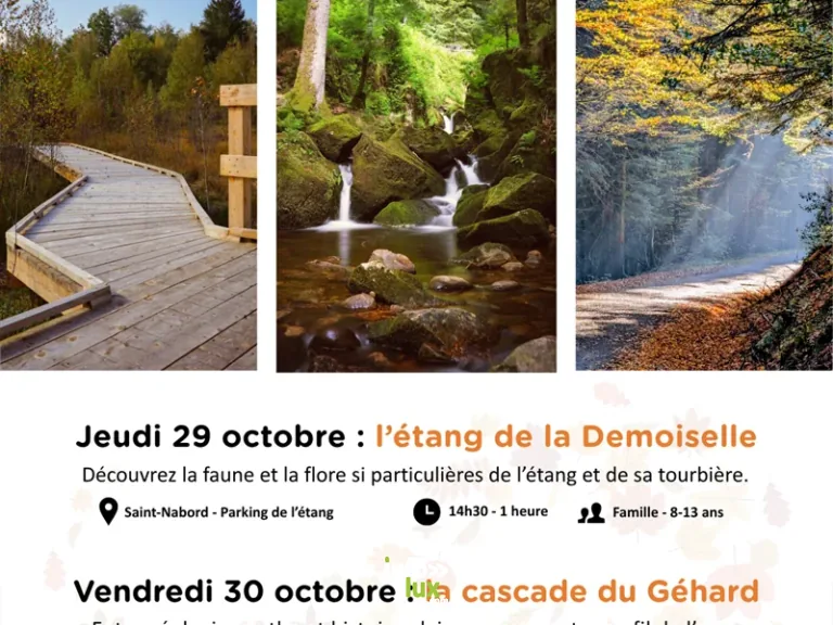 Girmont-Val-d’Ajol > Famille > Animation nature : la cascade du Géhard