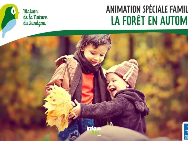 Durmenach > Famille > Animation spéciale familles – La forêt en automne – Dès 5 ans