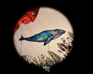 Atelier autour du spectacle La Baleine Tatouée — Lille Atelier autour du spectacle La Baleine Tatouée — Lille