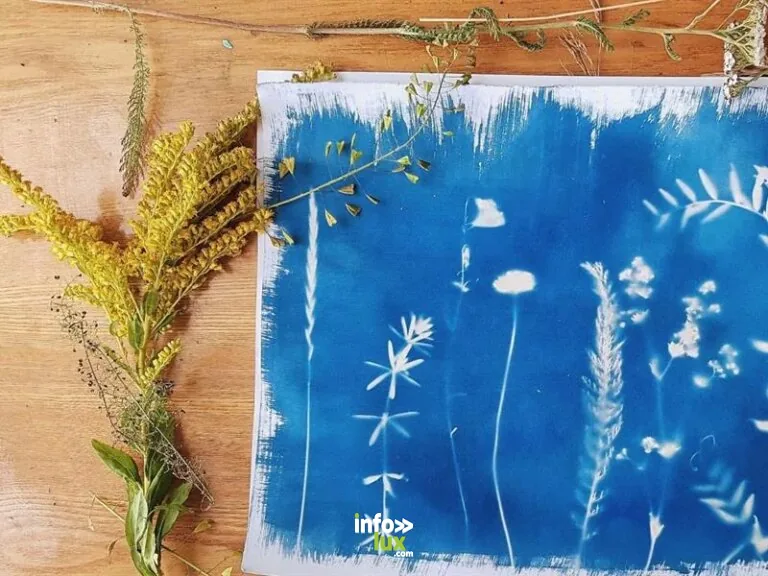 Cernay > Atelier > Atelier découverte du cyanotype