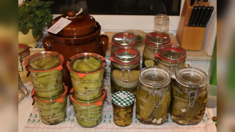 Anlier > Atelier > Je me lance dans la lactofermentation avec Nature Attitude (14 novembre 2026)