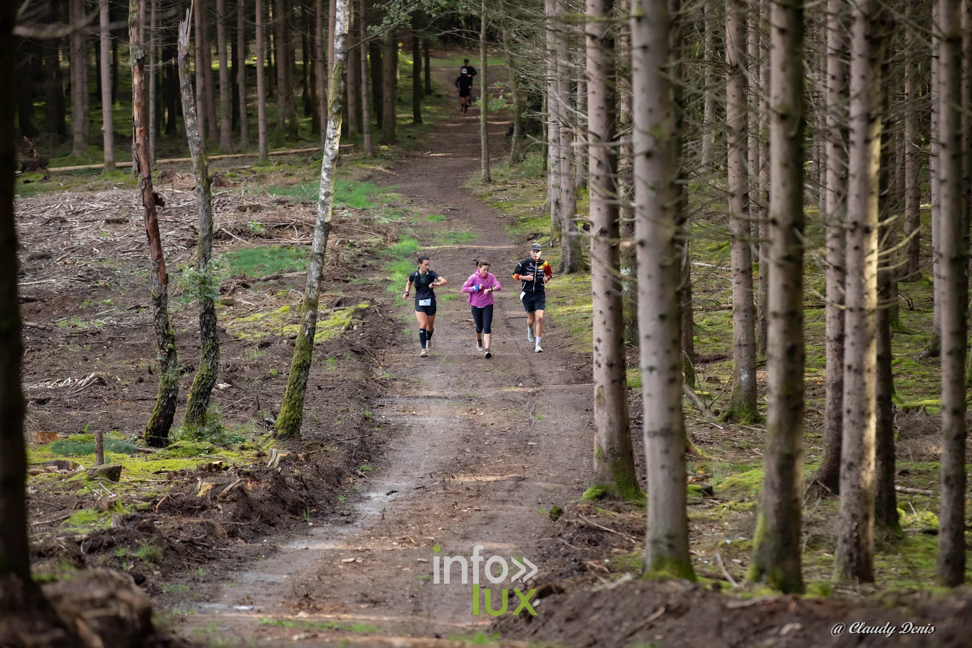 Backyard de Chôdes 2026 à Malmedy : trois coureurs au loin dans la forêt d’épicéas (photo Claudy Denis)