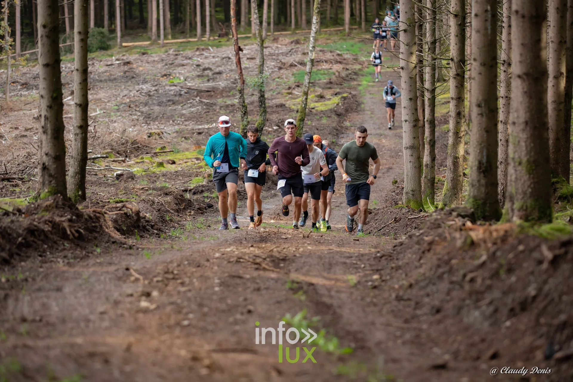 Backyard de Chôdes 2026 à Malmedy : un peloton de coureurs dans la forêt d’épicéas (photo Claudy Denis)