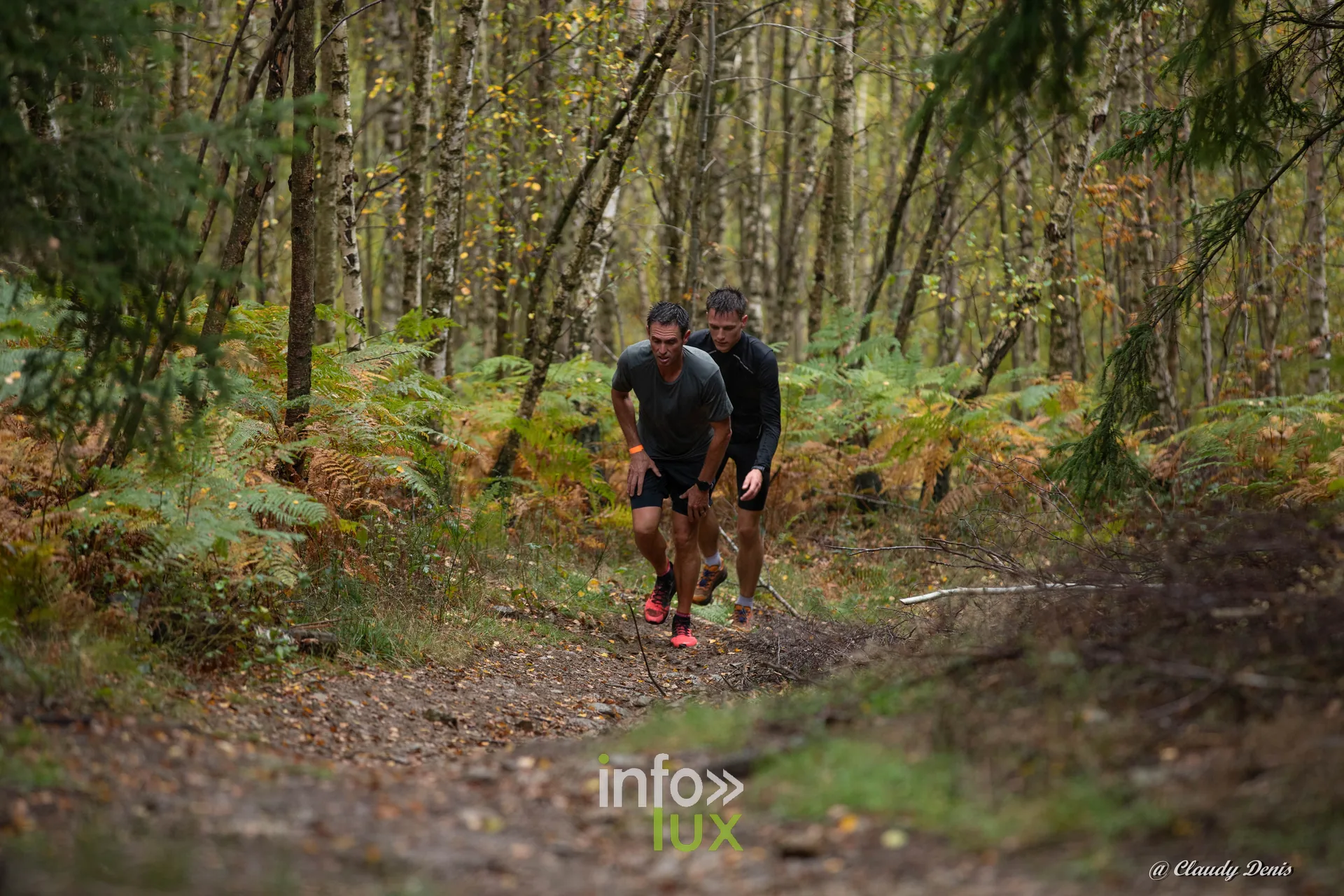 Backyard de Chôdes 2026 à Malmedy : deux coureurs entre bouleaux et fougères (photo Claudy Denis)