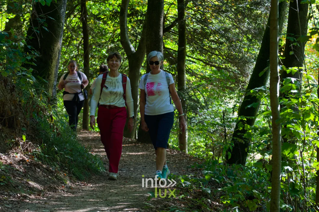 Bouillon Rose 2026 à Bouillon, marche et jogging solidaires contre le cancer du sein — photo 153 de Photos GusKa