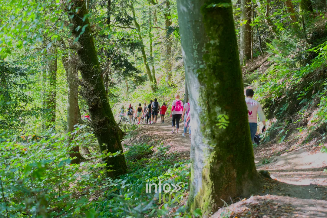 Bouillon Rose 2026 à Bouillon, marche et jogging solidaires contre le cancer du sein — photo 161 de Photos GusKa