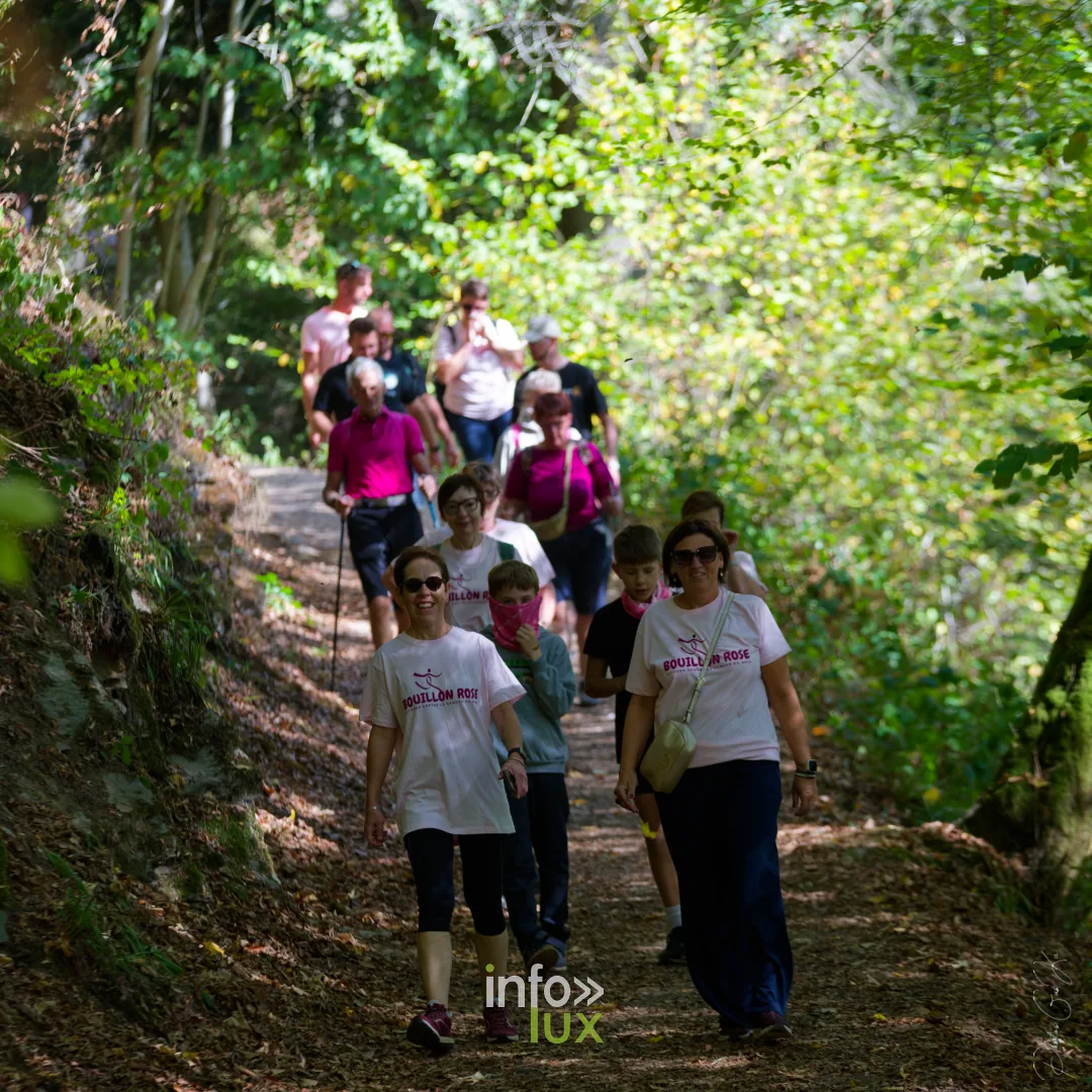 Bouillon Rose 2026 à Bouillon : file de marcheurs en forêt