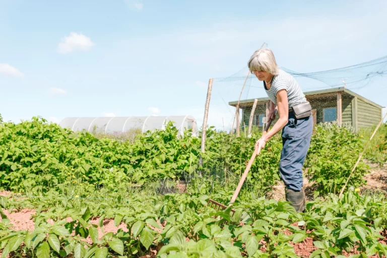 Une maraîchère au travail dans un potager, visuel du projet de caisse alimentaire commune du MOC Luxembourg