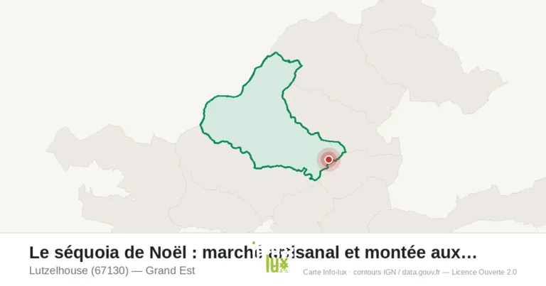 Lutzelhouse > Marché de Noël > Le séquoia de Noël : marché artisanal et montée aux flambeaux 2026
