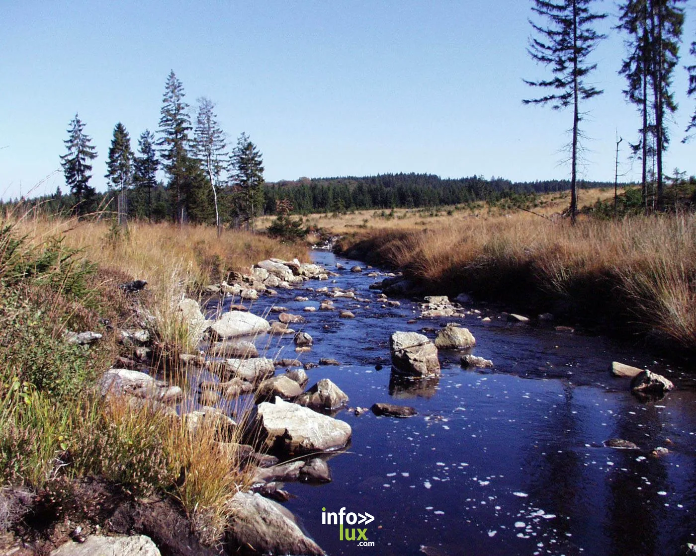 Centre Nature de Botrange - Hautes Fagnes Centre Nature de Botrange - Hautes Fagnes