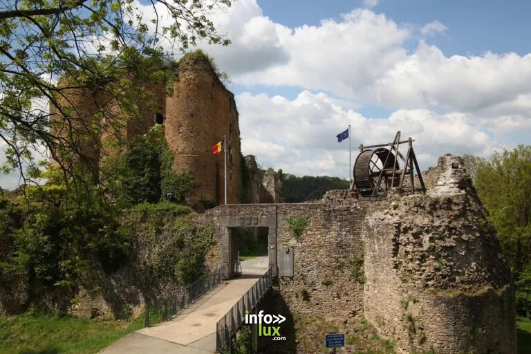Les Hautes Fagnes en famille : 3 jours d’activités avec les enfants et le budget (2026)