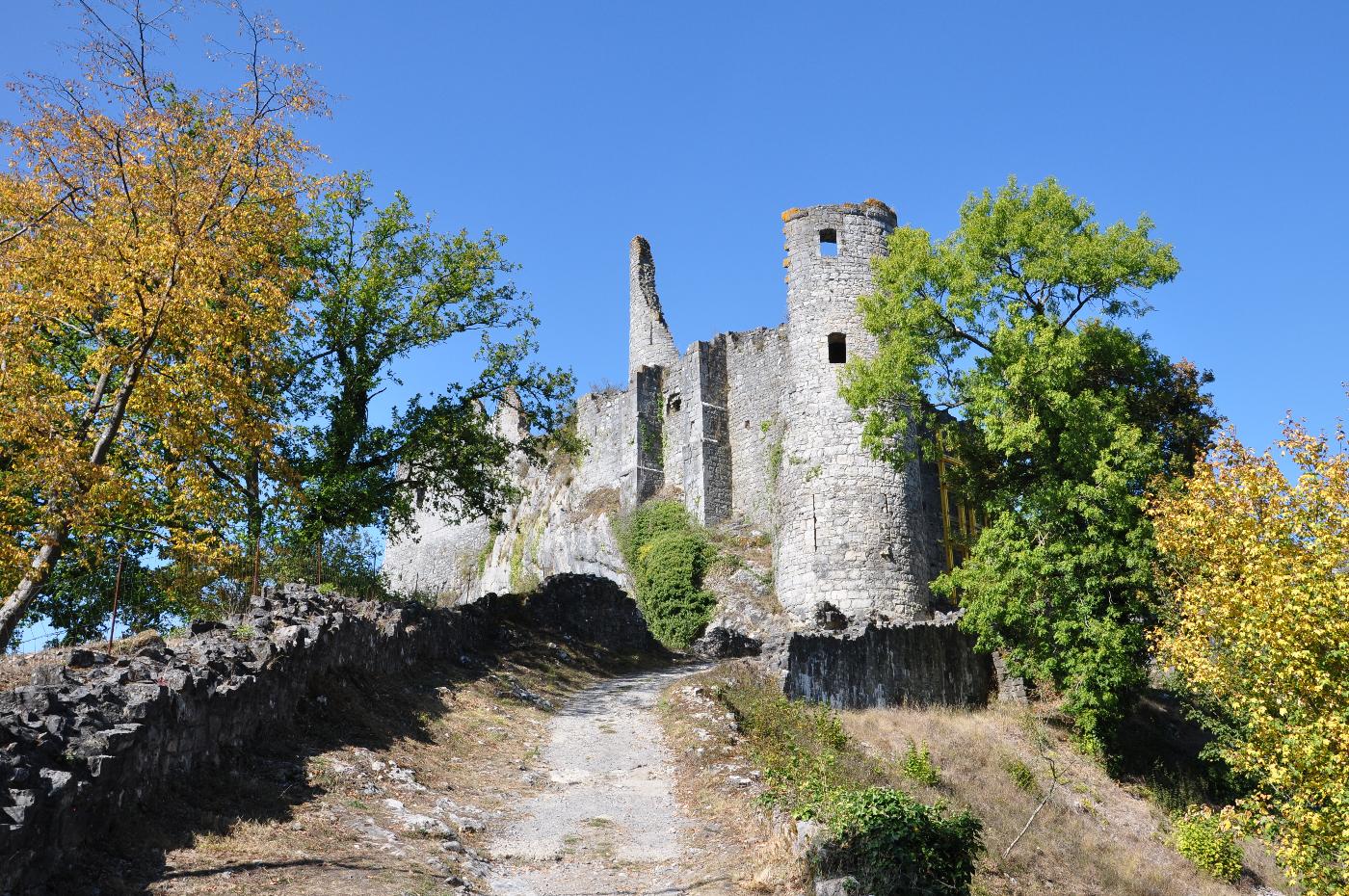 Château Fort de Montaigle (Falaën) Château Fort de Montaigle (Falaën)