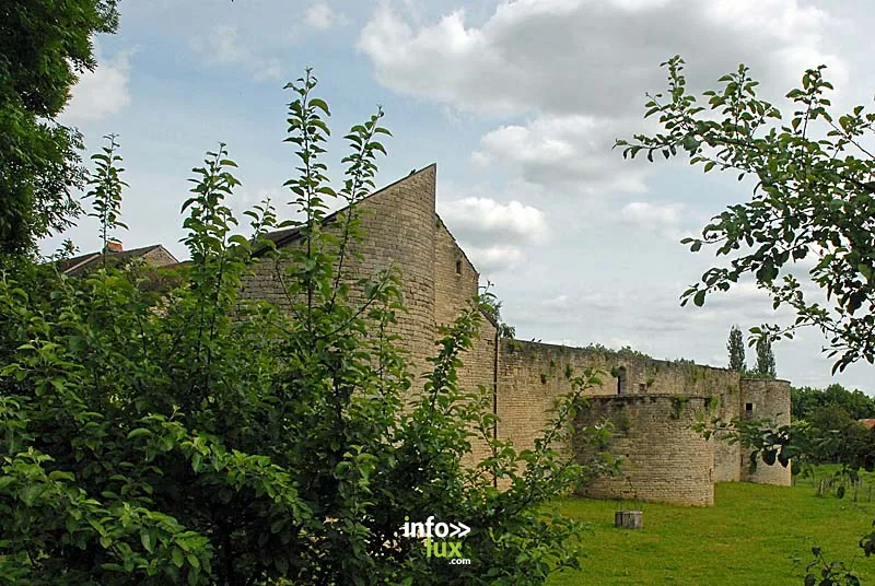 Château XVIIIe siècle de Chatoillenot Château XVIIIe siècle de Chatoillenot