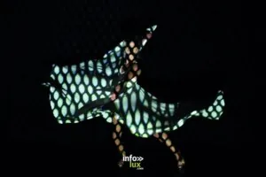 Danser à l’oreille des mots – 4/11 — Lille Danser à l’oreille des mots – 4/11 — Lille