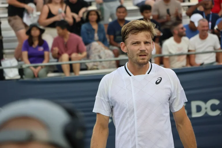 David Goffin sur le court à l’Open de Washington, en juillet 2024