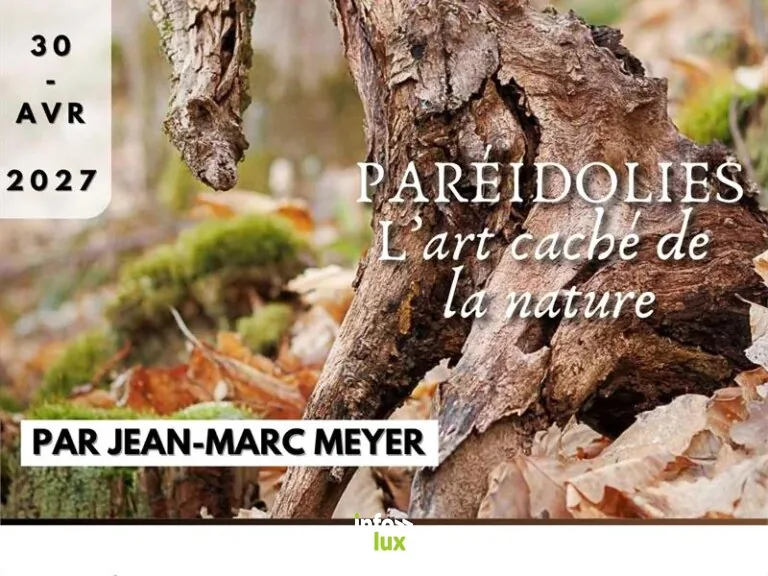 Expo photo - Paréidolies, l'art caché de la nature à Cornimont