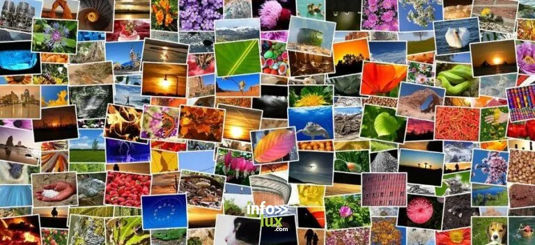 Rupt-sur-Moselle > Exposition > Expo photos en plein air
