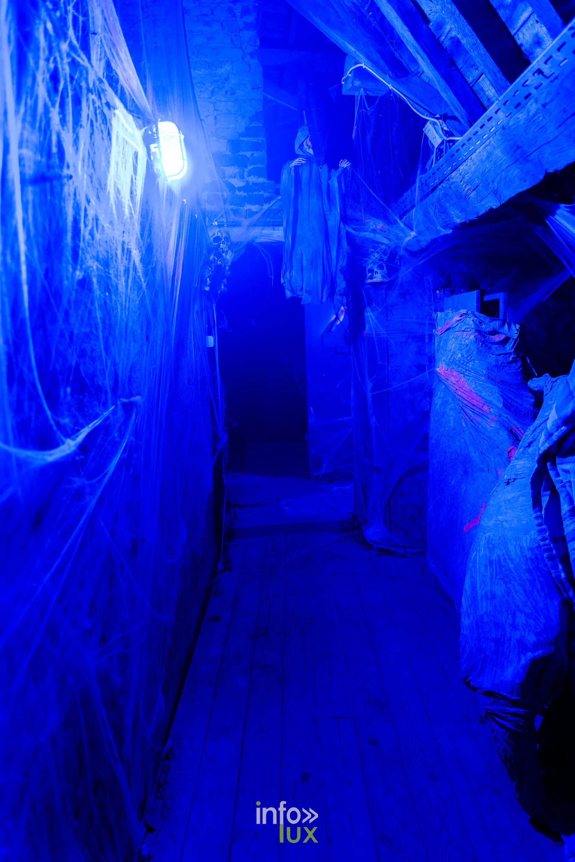 Fantastique Halloween 2026, château de Lavaux-Sainte-Anne (Rochefort) : un couloir décoré de toiles d’araignée (photo Mike Marino)