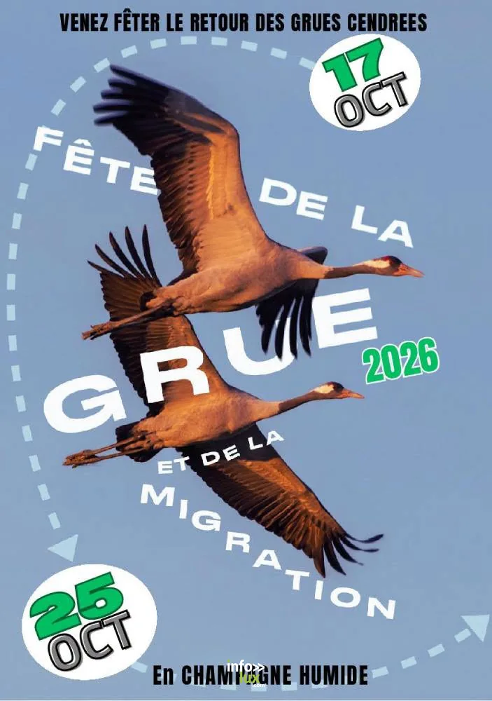 Lentilles > Fête > Fête de la Grue : Couchers de grues sur la RNN de l’étang de la Horre