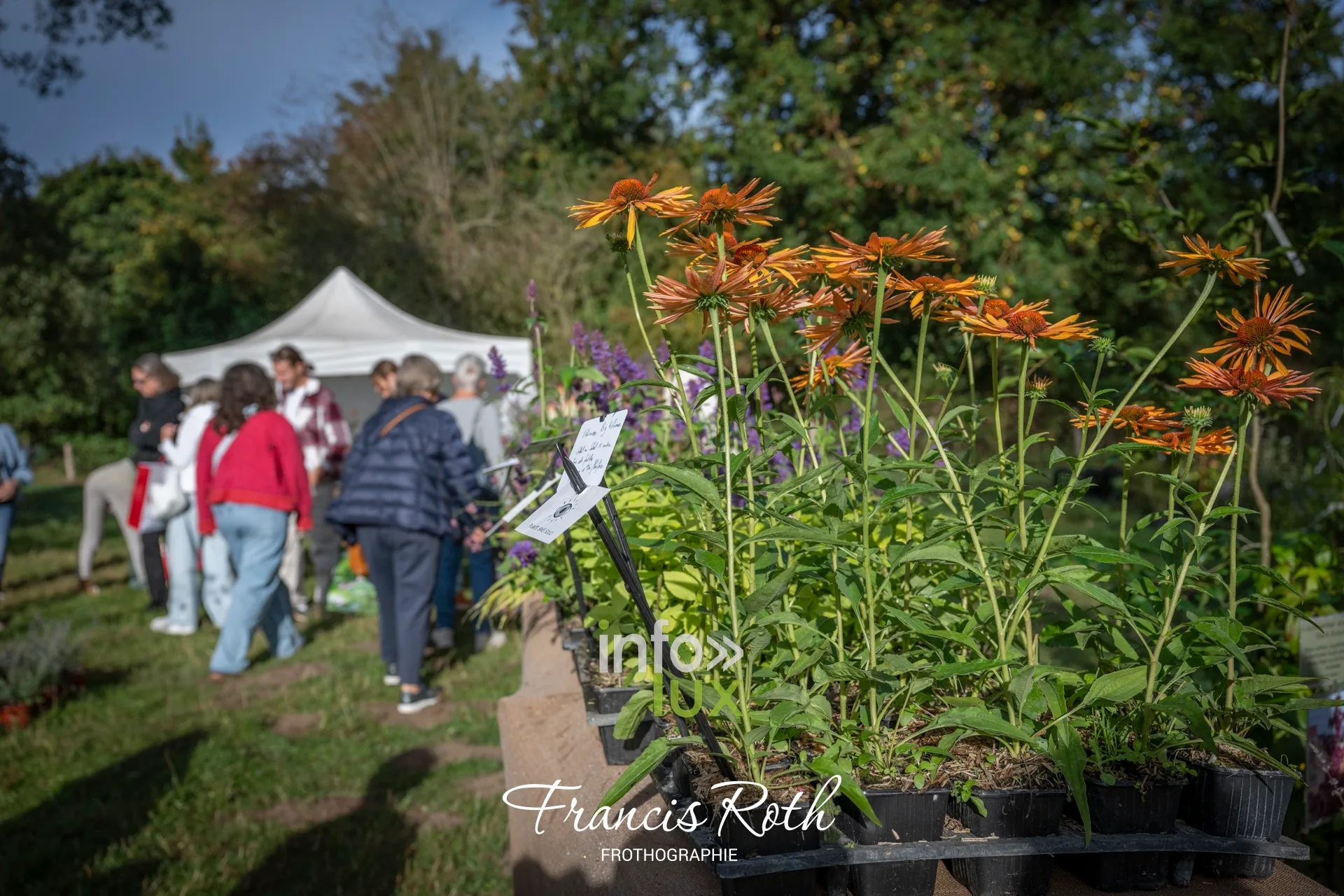 Fête des Plantes et du Jardin d’Aywiers 2026 à Lasne, ancienne abbaye d’Aywiers — photo 8 de Francis Roth