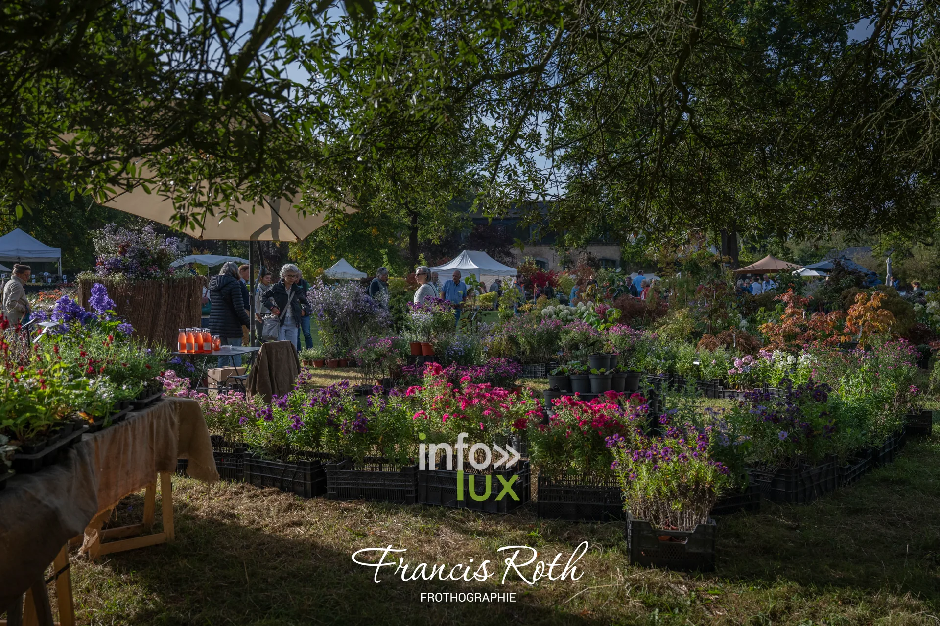 Fête des Plantes d’Aywiers 2026 à Lasne : stands de pépiniéristes sur la pelouse du parc