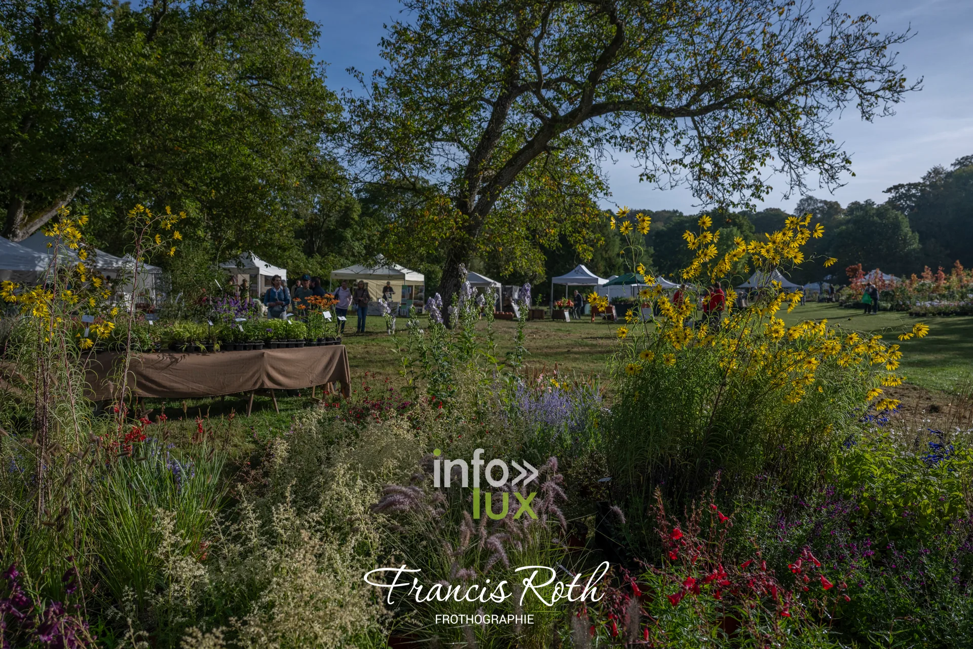Fête des Plantes et du Jardin d’Aywiers 2026 à Lasne, ancienne abbaye d’Aywiers — photo 12 de Francis Roth