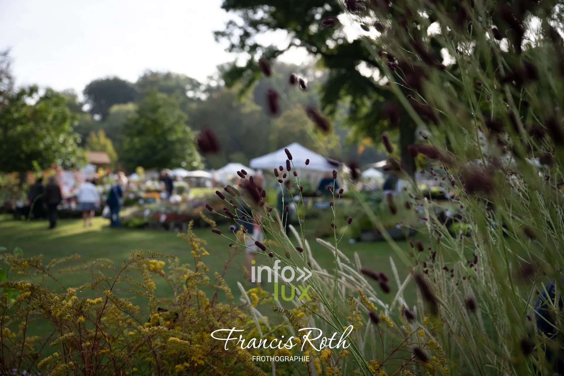 Fête des Plantes et du Jardin d’Aywiers 2026 à Lasne, ancienne abbaye d’Aywiers — photo 21 de Francis Roth