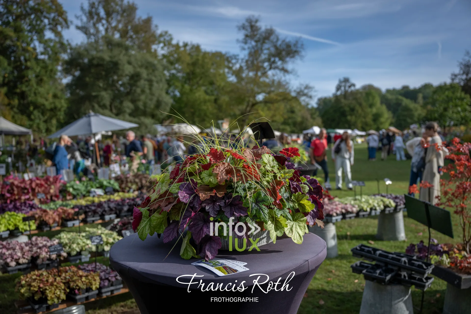 Fête des Plantes et du Jardin d’Aywiers 2026 à Lasne, ancienne abbaye d’Aywiers — photo 24 de Francis Roth