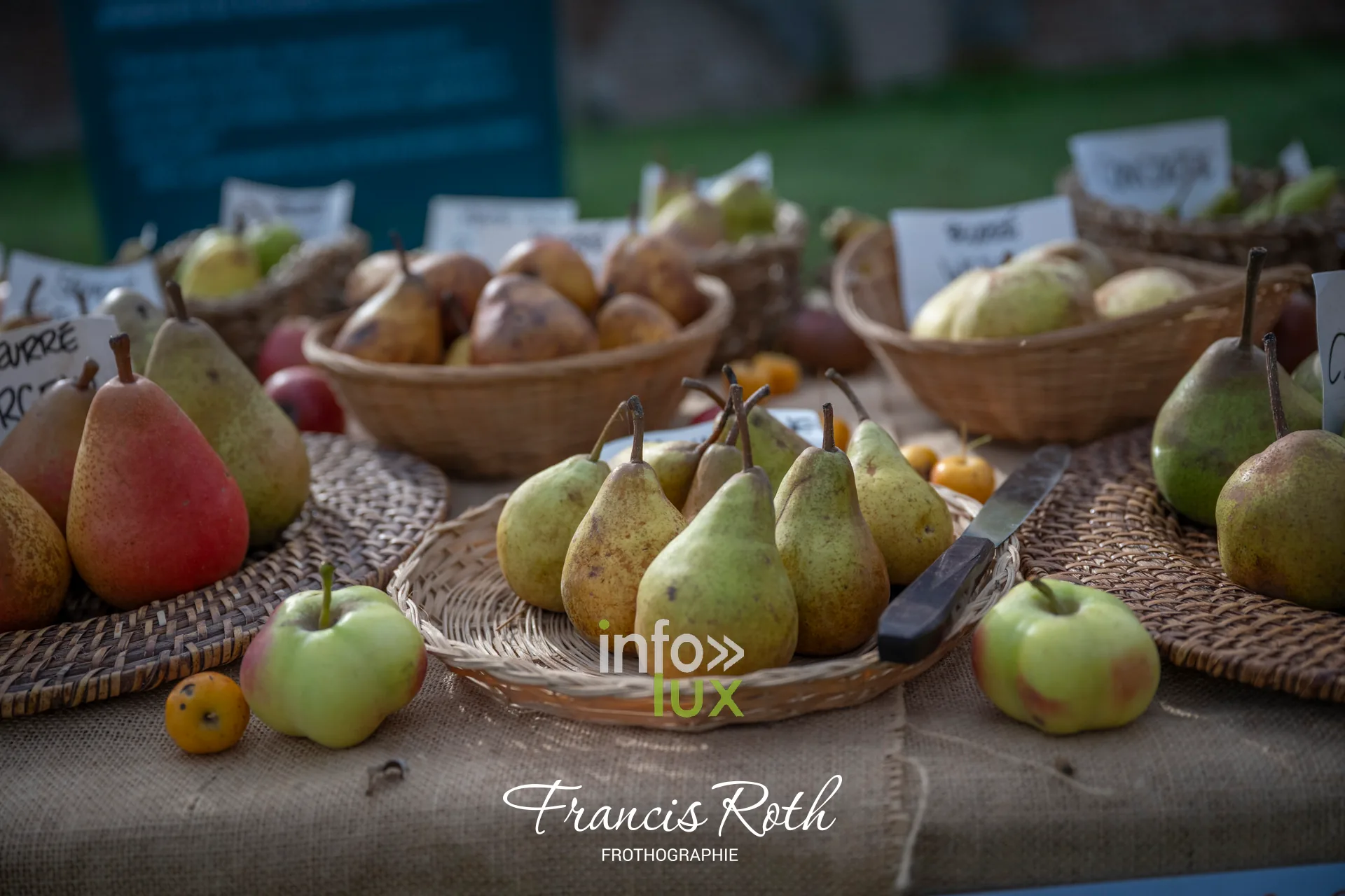 Fête des Plantes d’Aywiers 2026 à Lasne : corbeilles de poires sur un stand de fruitiers