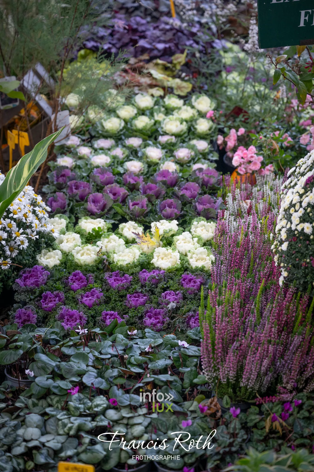 Fête des Plantes et du Jardin d’Aywiers 2026 à Lasne, ancienne abbaye d’Aywiers — photo 59 de Francis Roth