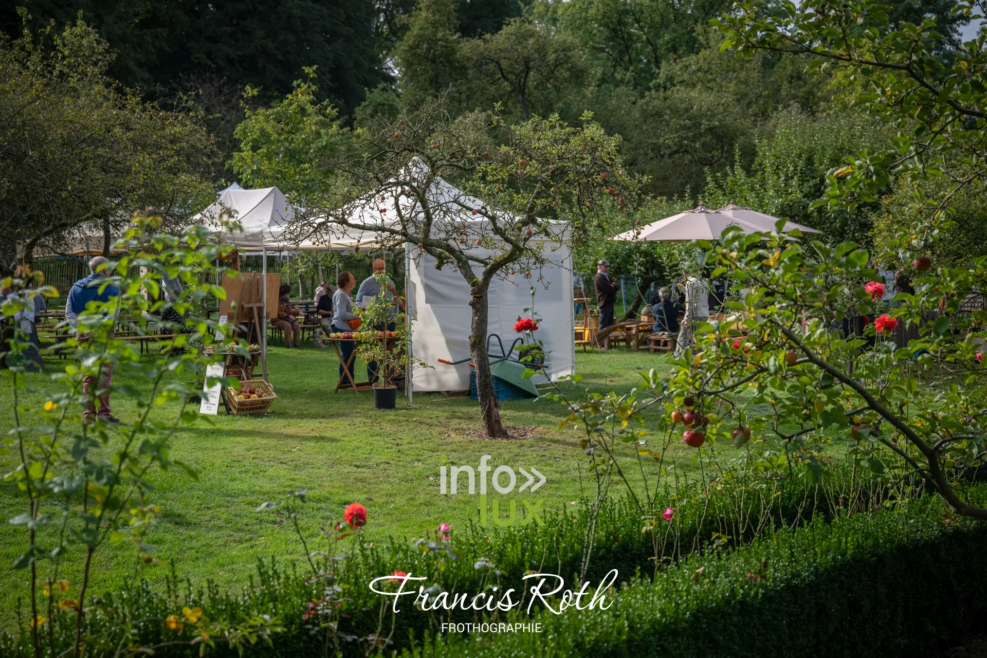 Fête des Plantes et du Jardin d’Aywiers 2026 à Lasne, ancienne abbaye d’Aywiers — photo 80 de Francis Roth