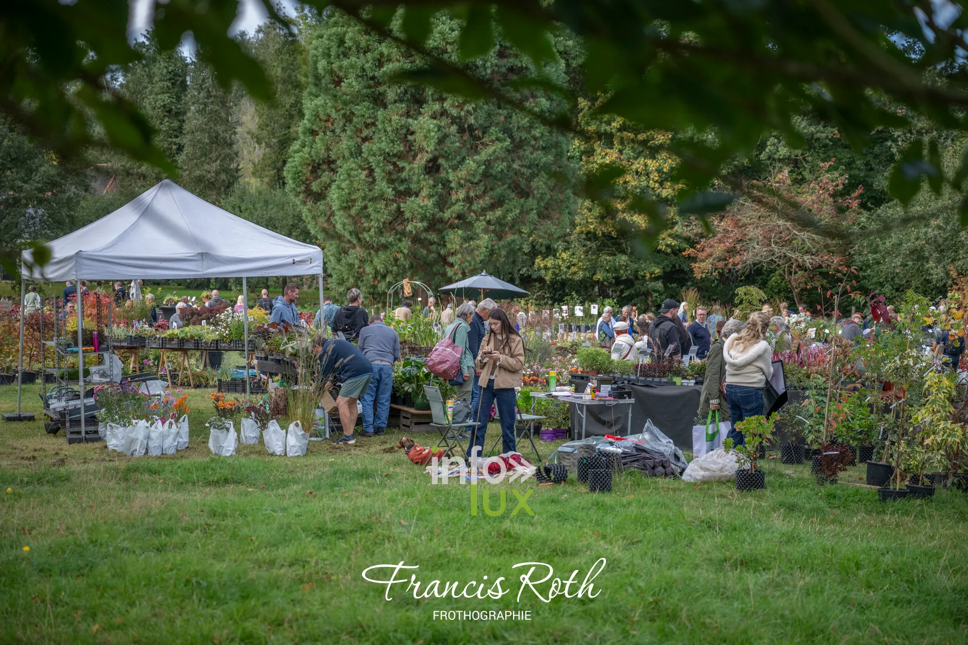 Fête des Plantes et du Jardin d’Aywiers 2026 à Lasne, ancienne abbaye d’Aywiers — photo 137 de Francis Roth