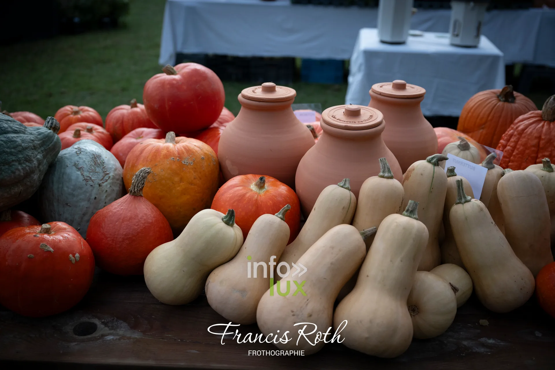 Fête des Plantes d’Aywiers 2026 à Lasne : courges, potirons et oyas en terre cuite