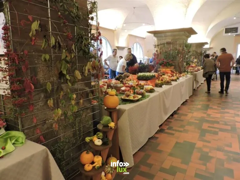 Molsheim > Exposition > Fête du raisin – Expositions