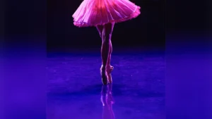Ballet of Lights : La Belle au bois dormant — Lille Ballet of Lights : La Belle au bois dormant — Lille
