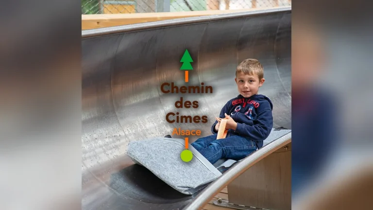 Drachenbronn-Birlenbach > Famille > Le Chemin des Cimes Alsace : une promenade au-dessus des arbres