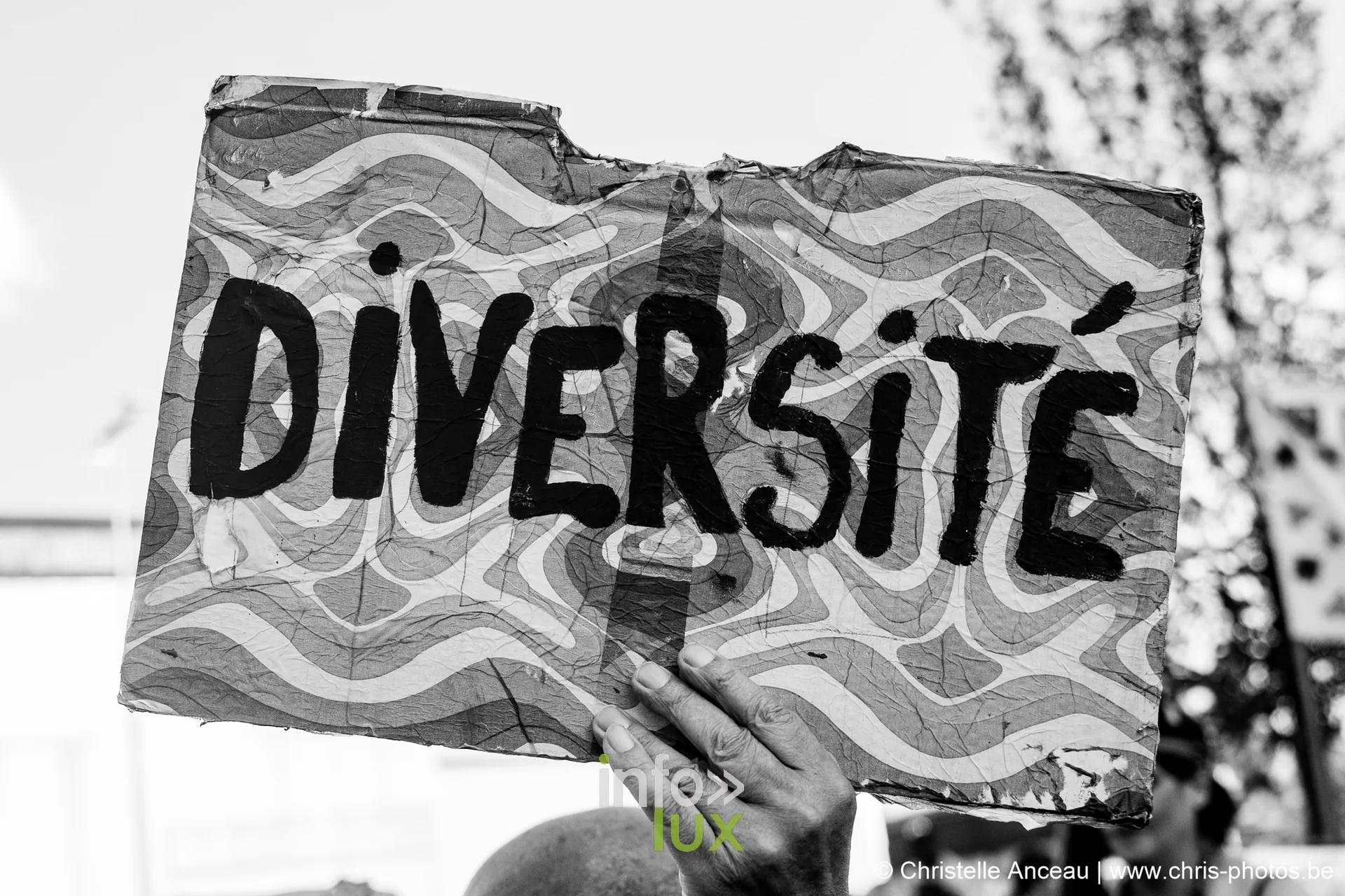 Fieris Féeries 2026 à Seraing : pancarte Diversité brandie dans le cortège