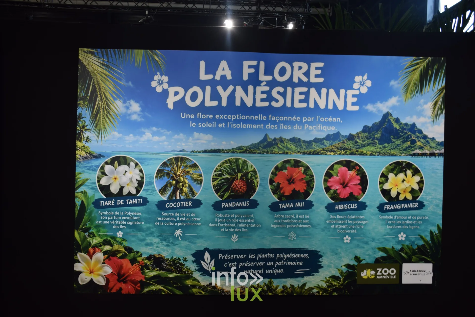 Panneau « La flore polynésienne », Foire internationale de Metz 2026